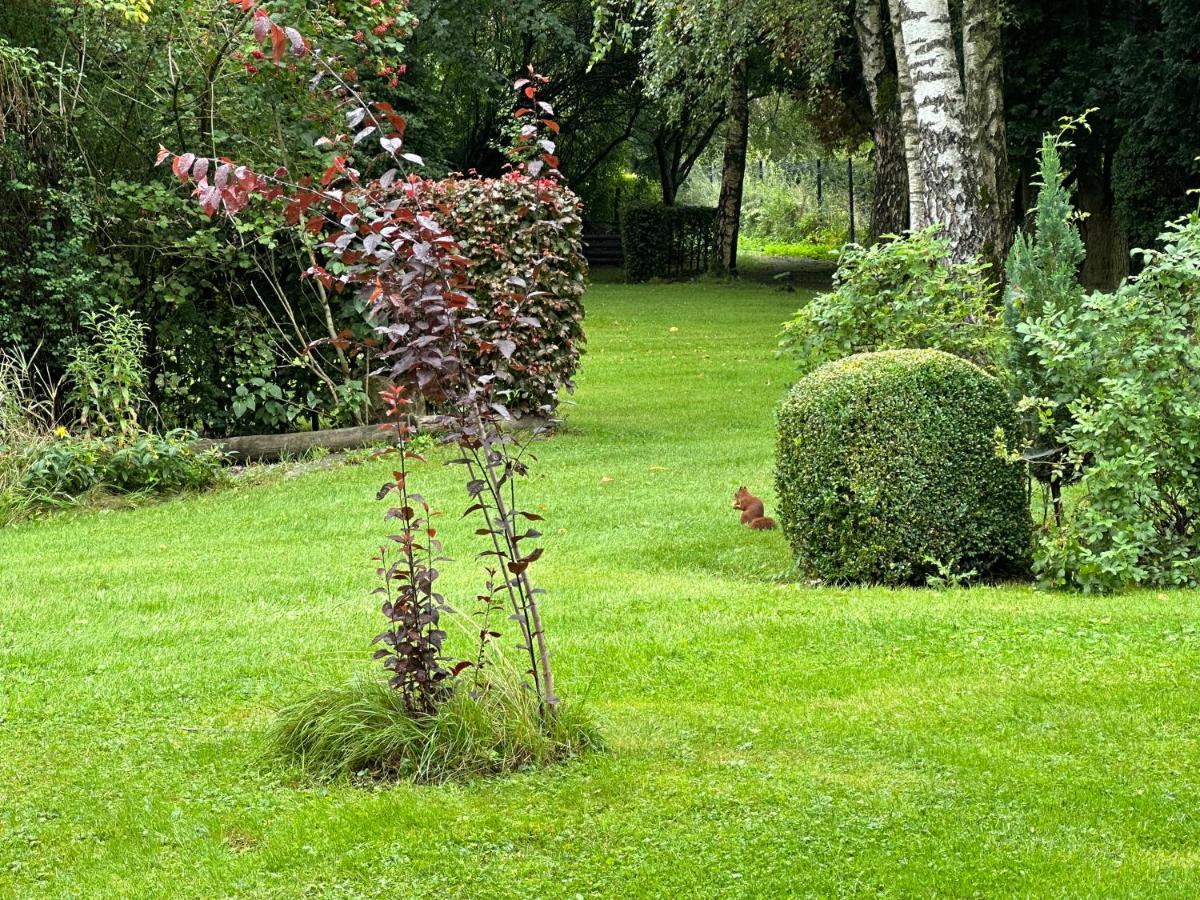 Hotel Steineweiher سينت فيث المظهر الخارجي الصورة